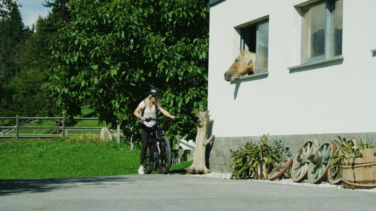 Apartment Wiesenhof - Natur & Weitblick Ueber Innsbruck - Ladestation Fuer Elektroautos Eksteriør bilde